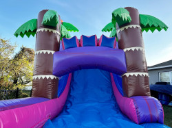 IMG 8371 1729475235 Purple Mega Tropical Combo single lane inflated pool (wet or