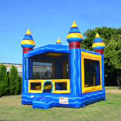 Front view of our artic bounce house. This is a bounce house rental