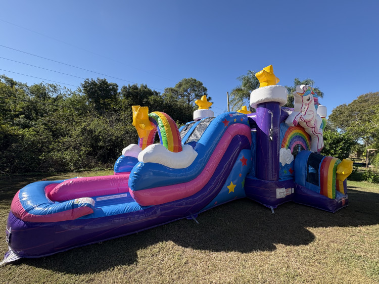Describe this bounce house — style, colors, theme